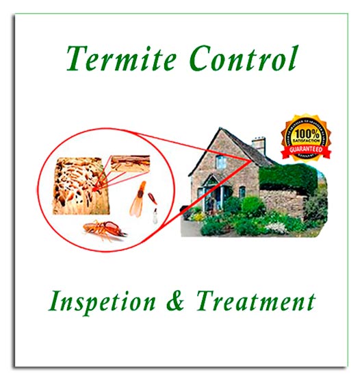 TERMITA inspection and pest control